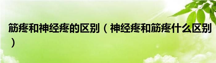 筋疼和神經(jīng)疼的區(qū)別（神經(jīng)疼和筋疼什么區(qū)別）