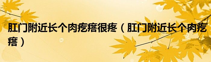 肛門(mén)附近長(zhǎng)個(gè)肉疙瘩很疼(肛門(mén)附近長(zhǎng)個(gè)肉疙瘩)