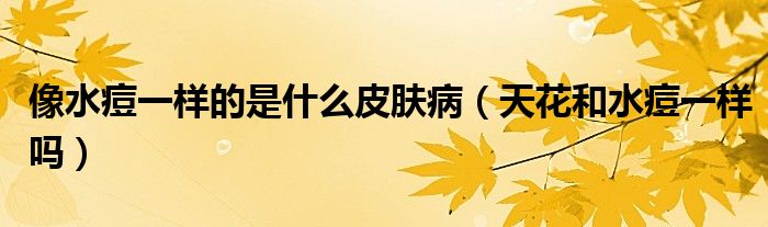像水痘一樣的是什么皮膚?。ㄌ旎ê退灰粯訂幔?class='thumb lazy' /></a>
		    <header>
		<h2><a  href=