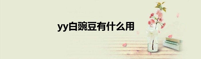 yy白豌豆有什么用