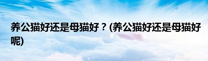 養(yǎng)公貓好還是母貓好？(養(yǎng)公貓好還是母貓好呢)