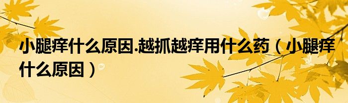小腿癢什么原因.越抓越癢用什么藥（小腿癢什么原因）