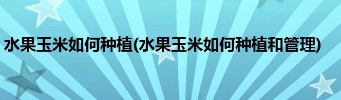 水果玉米如何種植(水果玉米如何種植和管理)