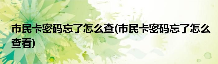 市民卡密碼忘了怎么查(市民卡密碼忘了怎么查看)