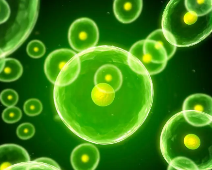斯坦福大學科學家發(fā)現(xiàn)健康 疾病和衰老的新指標