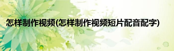 怎樣制作視頻(怎樣制作視頻短片配音配字)