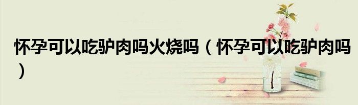 懷孕可以吃驢肉嗎火燒嗎（懷孕可以吃驢肉嗎）