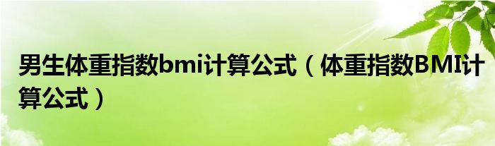 男生體重指數(shù)bmi計(jì)算公式（體重指數(shù)BMI計(jì)算公式）