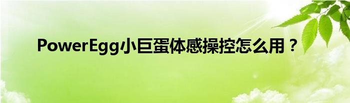PowerEgg小巨蛋體感操控怎么用？