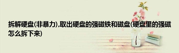 拆解硬盤(非暴力),取出硬盤的強磁鐵和磁盤(硬盤里的強磁怎么拆下來)