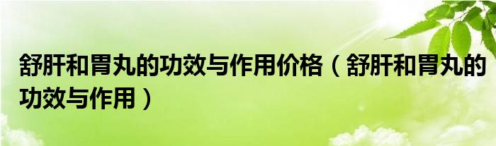 舒肝和胃丸的功效與作用價(jià)格（舒肝和胃丸的功效與作用）
