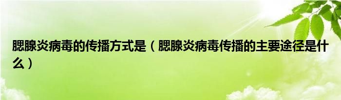 腮腺炎病毒的傳播方式是(腮腺炎病毒傳播的主要途徑是什么)