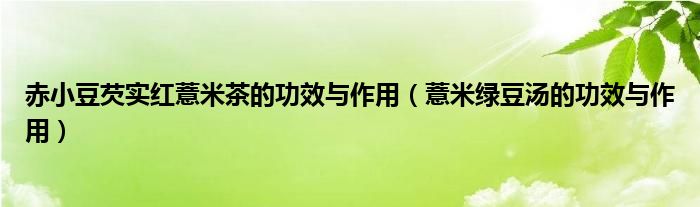 赤小豆芡實紅薏米茶的功效與作用（薏米綠豆湯的功效與作用）