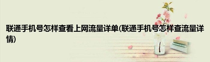 聯(lián)通手機(jī)號(hào)怎樣查看上網(wǎng)流量詳單(聯(lián)通手機(jī)號(hào)怎樣查流量詳情)