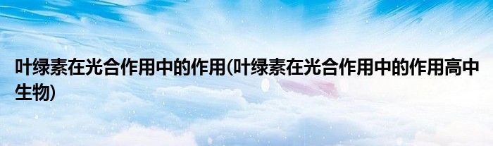 葉綠素在光合作用中的作用(葉綠素在光合作用中的作用高中生物)