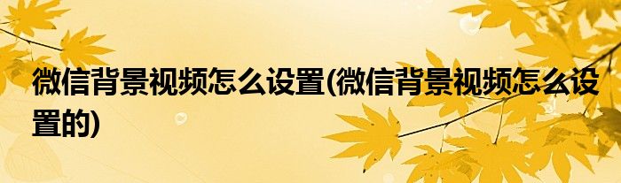 微信背景視頻怎么設(shè)置(微信背景視頻怎么設(shè)置的)