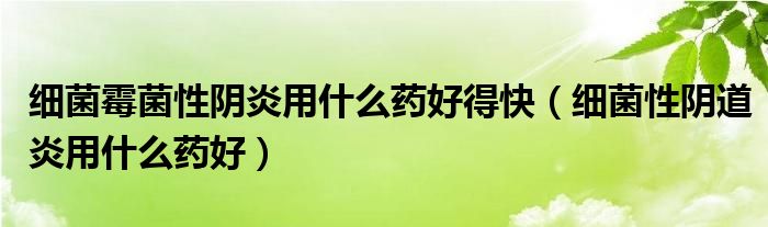 細(xì)菌霉菌性陰炎用什么藥好得快(細(xì)菌性陰道炎用什么藥好)