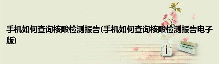 手機(jī)如何查詢核酸檢測報告(手機(jī)如何查詢核酸檢測報告電子版)