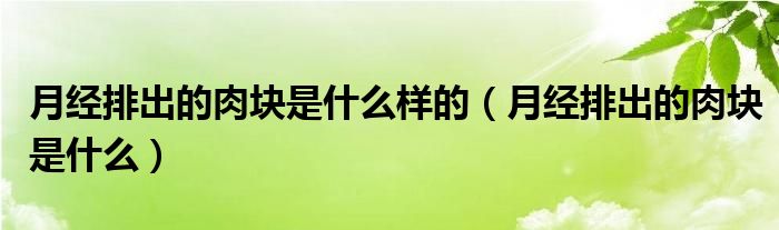 月經(jīng)排出的肉塊是什么樣的(月經(jīng)排出的肉塊是什么)