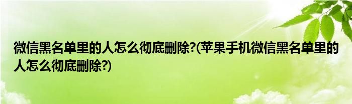 微信黑名單里的人怎么徹底刪除?(蘋果手機微信黑名單里的人怎么徹底刪除?)