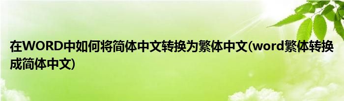 在WORD中如何將簡(jiǎn)體中文轉(zhuǎn)換為繁體中文(word繁體轉(zhuǎn)換成簡(jiǎn)體中文)