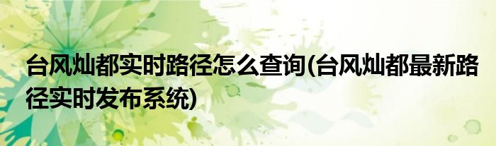 臺風(fēng)燦都實時路徑怎么查詢(臺風(fēng)燦都最新路徑實時發(fā)布系統(tǒng))