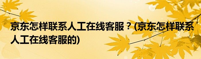 京東怎樣聯(lián)系人工在線客服？(京東怎樣聯(lián)系人工在線客服的)