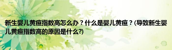 新生嬰兒黃疸指數(shù)高怎么辦？什么是嬰兒黃疸？(導(dǎo)致新生嬰兒黃疸指數(shù)高的原因是什么?)