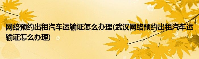 網(wǎng)絡(luò)預(yù)約出租汽車運(yùn)輸證怎么辦理(武漢網(wǎng)絡(luò)預(yù)約出租汽車運(yùn)輸證怎么辦理)