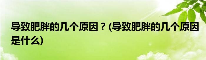 導(dǎo)致肥胖的幾個(gè)原因？(導(dǎo)致肥胖的幾個(gè)原因是什么)