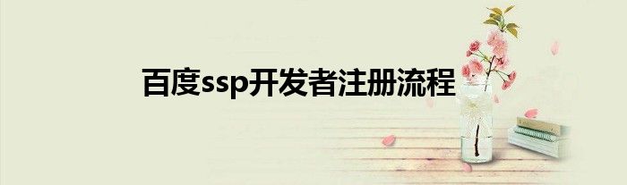 百度ssp開發(fā)者注冊(cè)流程
