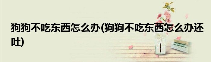 狗狗不吃東西怎么辦(狗狗不吃東西怎么辦還吐)