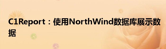 C1Report：使用NorthWind數(shù)據(jù)庫展示數(shù)據(jù)
