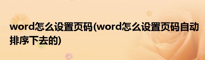 word怎么設(shè)置頁碼(word怎么設(shè)置頁碼自動排序下去的)