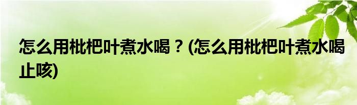怎么用枇杷葉煮水喝？(怎么用枇杷葉煮水喝止咳)