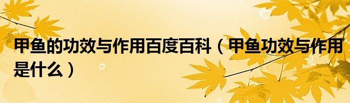 甲魚的功效與作用百度百科（甲魚功效與作用是什么）