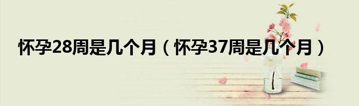 懷孕28周是幾個(gè)月（懷孕37周是幾個(gè)月）