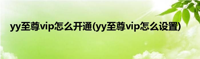 yy至尊vip怎么開通(yy至尊vip怎么設置)