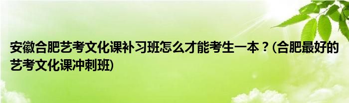 安徽合肥藝考文化課補(bǔ)習(xí)班怎么才能考生一本？(合肥最好的藝考文化課沖刺班)