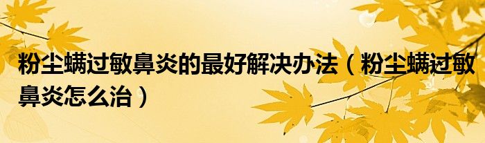 粉塵螨過敏鼻炎的最好解決辦法（粉塵螨過敏鼻炎怎么治）