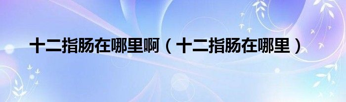 十二指腸在哪里?。ㄊ改c在哪里）