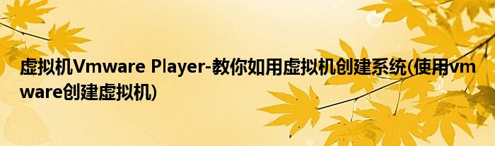 虛擬機(jī)Vmware Player-教你如用虛擬機(jī)創(chuàng)建系統(tǒng)(使用vmware創(chuàng)建虛擬機(jī))