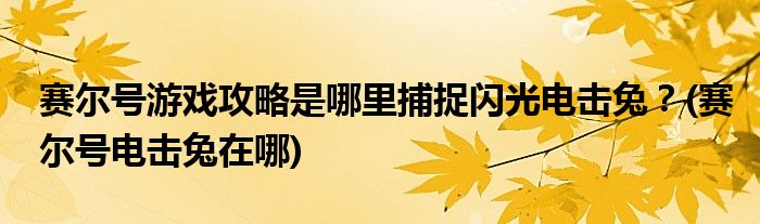 賽爾號游戲攻略是哪里捕捉閃光電擊兔？(賽爾號電擊兔在哪)