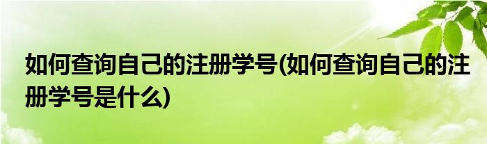 如何查詢自己的注冊學(xué)號(如何查詢自己的注冊學(xué)號是什么)