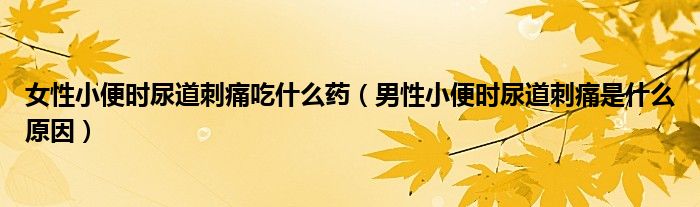 女性小便時(shí)尿道刺痛吃什么藥(男性小便時(shí)尿道刺痛是什么原因)