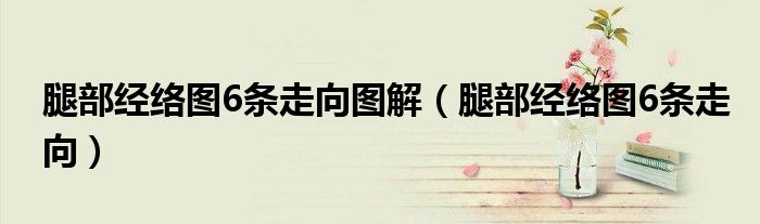 腿部經絡圖6條走向圖解（腿部經絡圖6條走向）