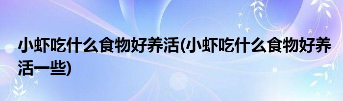 小蝦吃什么食物好養(yǎng)活(小蝦吃什么食物好養(yǎng)活一些)