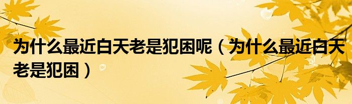 為什么最近白天老是犯困呢（為什么最近白天老是犯困）