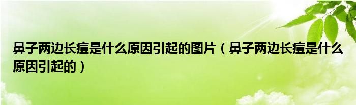 鼻子兩邊長痘是什么原因引起的圖片（鼻子兩邊長痘是什么原因引起的）