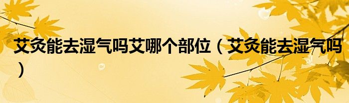 艾灸能去濕氣嗎艾哪個部位(艾灸能去濕氣嗎)